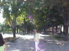 Primorsky Blvd. Odessa