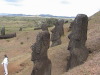 Moai at the quarry