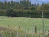 Taieri Gorge Train