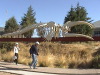 Whale skeleton, ECO center, Madryn Argentina