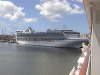 New Golden Princess Montevideo Harbour