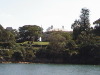 Sydney Harbor Views