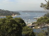 Sydney Harbor Views