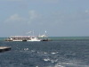 Hardy Reef