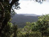 Rain Forest Skyway Cairns